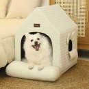 에브리데이 펫 이미지