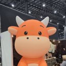 나 다녀왔어요 2026케이펫페어 수원메쎄(후기/주차꿀팁)