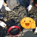 비치당구장 이미지