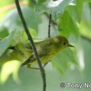 대구예술가곡회 <예술가곡의 밤> 이미지
