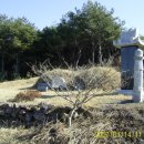 사방초등학교 Daum카페