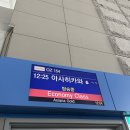 [탑승 후기] 아시아나항공 인천-아사히카와 OZ153/154 이코노미 왕복 후기(Mytrip 발권, A321neo 좌석...