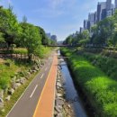 과천역 5번 출구 이미지