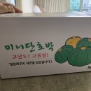 동이님의 제주 미니 밤호박 (보우짱) / 맛보기 이미지