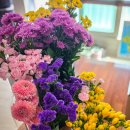 지정초등학교 병설유치원 이미지