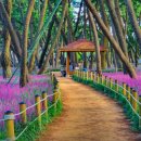 송림회관 이미지