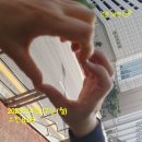 한가람고등학교 남동쪽 공간(목동 909-5&909-6 사이) | 목동 임장 후기