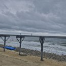 대천여행 V-log ( feat. 딸기가나디) 이미지