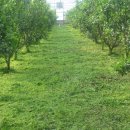 아침이슬농장 이미지