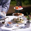 제주 와일드 이미지