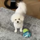 오비비