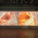 올림푸스 이미지