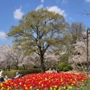 진영산복로 이미지