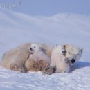 평화로운가족 이미지