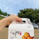 충남 아이와 가볼만한곳 대백제전 2023 백제문화제 공주 금강신관공원, 미르섬 가을축제 기간 주차, 먹거리