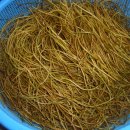 백초(여) 이미지