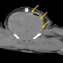 대경연합동물영상센터 이미지