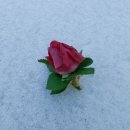 두무대쉼터 이미지