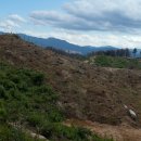모스비법인 | [이타서울]리:포레스트 서포터즈🌳