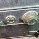 영일사슴 이미지