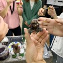 3D프린팅 방과후강사 양성과정 이미지