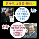 트윗: '문재인, 그럴 줄 알았다' 外 이미지