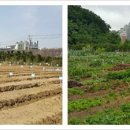 호수농장2 이미지