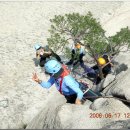 푸른솔길 이미지