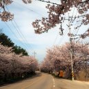 초락1리 마을회관 이미지