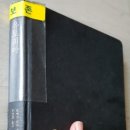 최대의 고통자, 막심고리끼 이미지