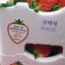 세진농장 이미지