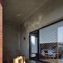 제주토끼 이미지