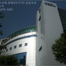 판교동 소로8 네이버블로그
