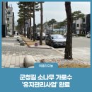 군청길 이미지