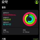백운배드민턴장 | [블챌] 히조의 8월 일상기록(백운계곡,배드민턴 등)
