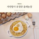 올래농장 이미지