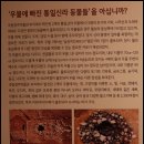 아이신라