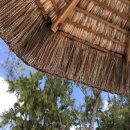 트리짐 트리태닝 | 모리셔스 신혼여행 숙소 - 버블롯지 일로셰프 (Ile aux Cerfs) 반얀트리 객실