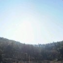 바른땅공인중개사사무소 이미지