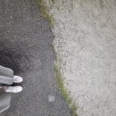 부창약국 이미지