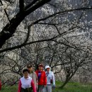 선비뜨락 이미지