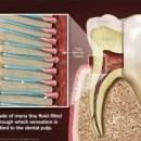 김경수치과의원 이미지