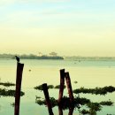 토실 토실 이미지