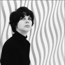 브리지트 라일리 (Bridget Riley) 이미지