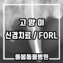 산수유동물병원 이미지