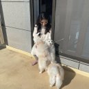 신일환동물병원 이미지