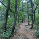 인천 계양산 박촌역~계양산~징매이고개~중구봉~천마산~가정역 일주 이미지