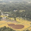 일청로 65번길 이미지