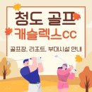 다이나믹당구클럽 | 청도 골프 여행 캐슬렉스cc 골프장 추천 후기