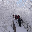 1/20(수) 무주 덕유산 눈꽃여행 이미지